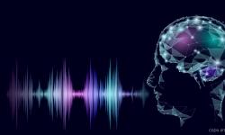 Featured image of post 利用spleeter分离歌曲人声并借助Parselmouth绘制声波图像